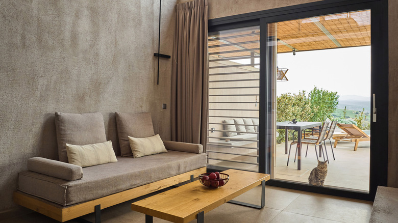 A cat looking into a living room with monochromatic beige curtains, furniture, and walls.