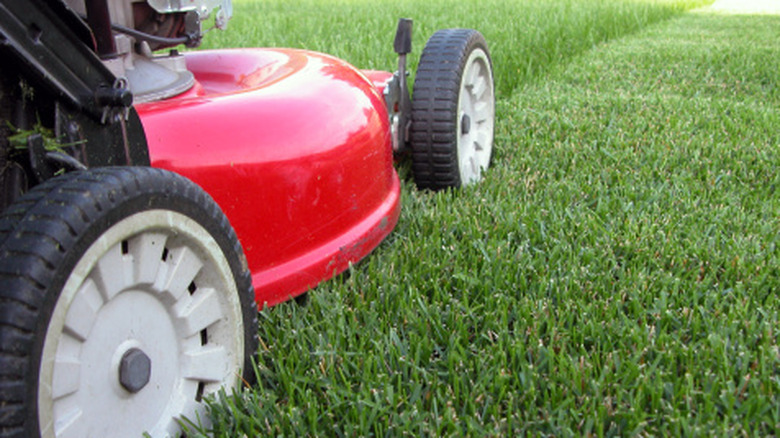 Close-up view of the side of a lawn mower.