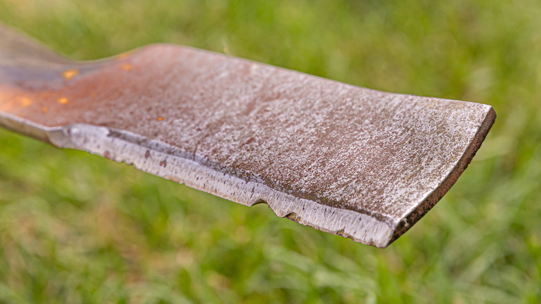 Edges of a mower blade with chips.
