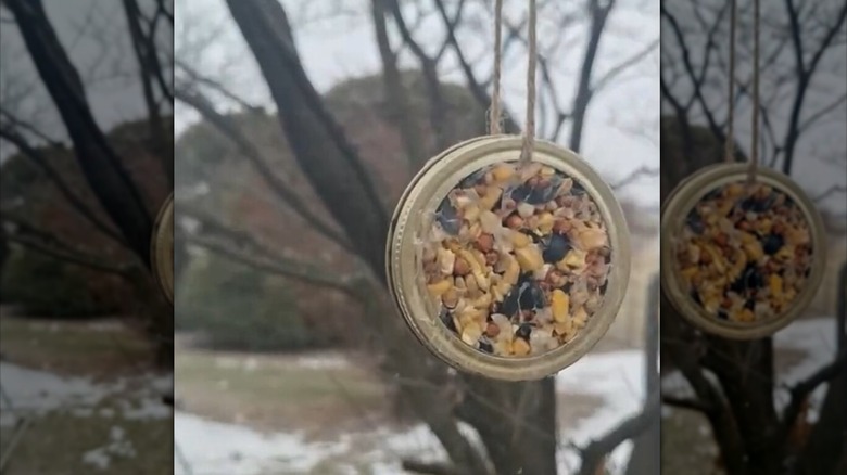 Bird seed suet in mason jar lid