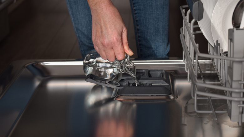 A person pouring white vinegar into a dishwasher