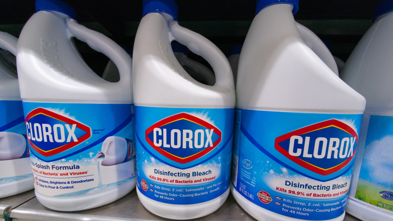 Clorox liquid bleach on display in a store shelf