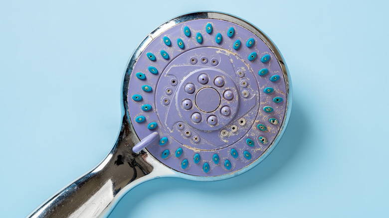 Close-up of a showerhead with hard water buildup