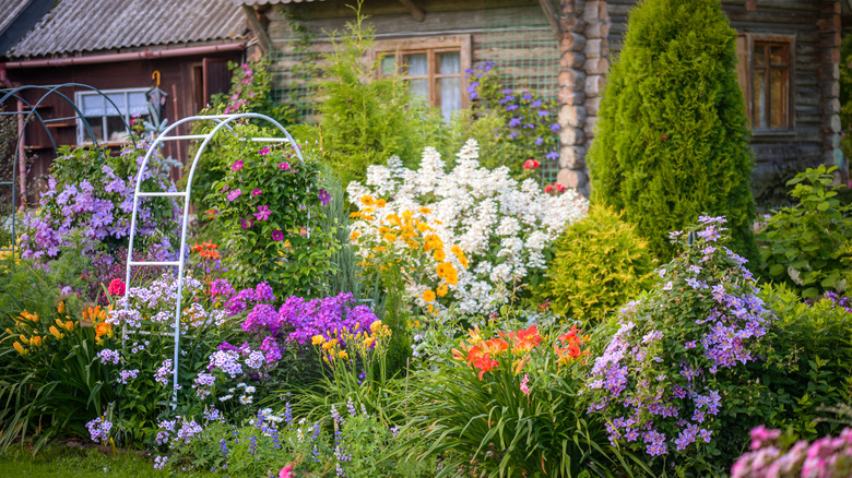 A colorful flower garden full of perennials in front of a log cabin