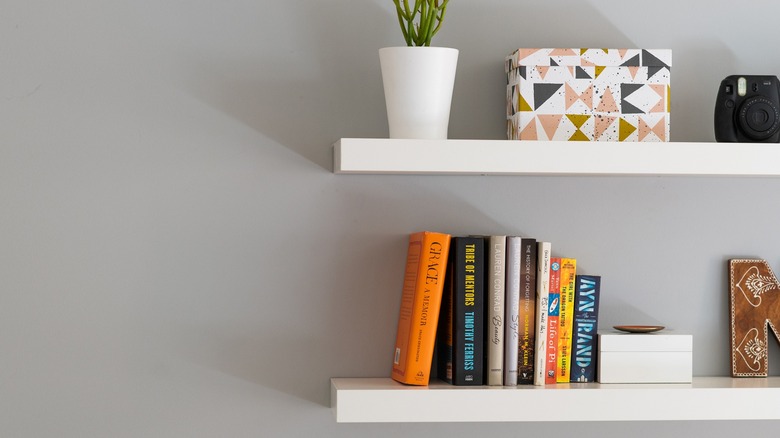 Books, a plant, and other items displayed on a floating shelf