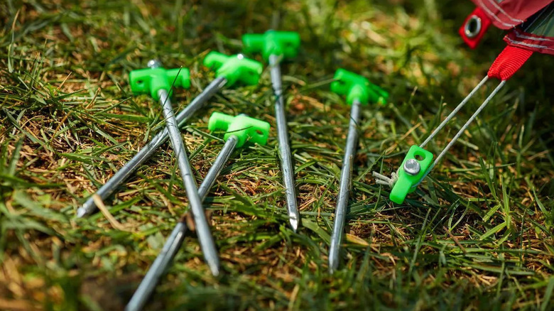 Tent stakes lying on the ground