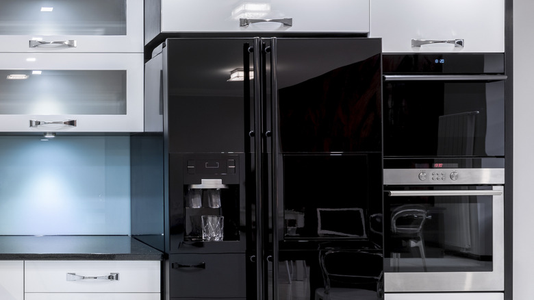 Refrigerator and other glossy appliances and surfaces