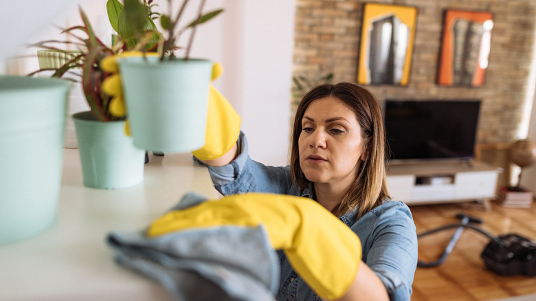 Woman dusting underneath houseplants