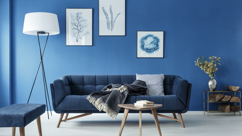 Blue sofa against a blue wall in a living room