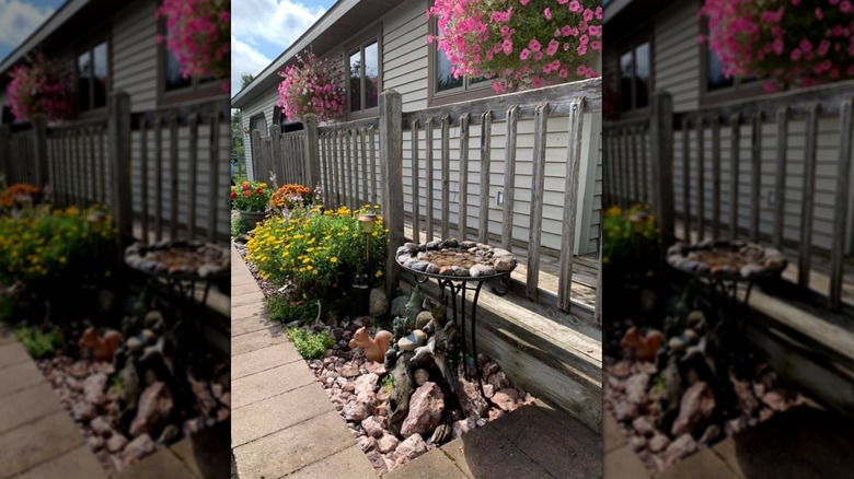 Bird bath made from an upside down pot lid on a metal stand