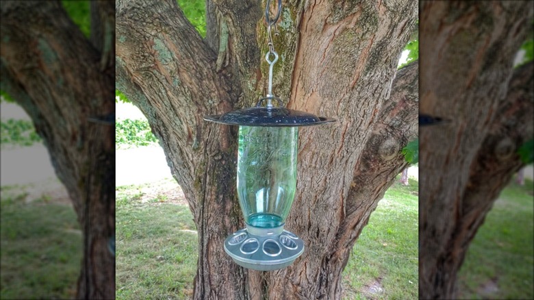 Bird feeder made of a pot lid and glass bottle