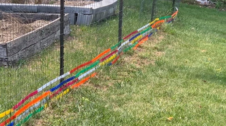 Fence with old blinds to keep rabbits out