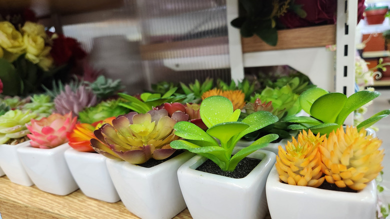 Fake succulents in white pots