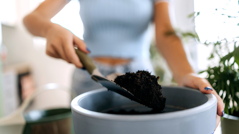 Woman scooping potting soil out of a flower pot