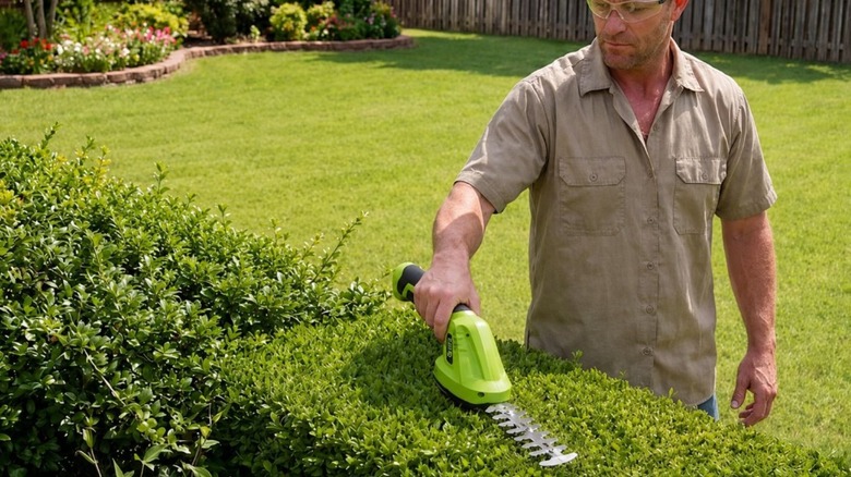 A man pruning buses with Garvee's hedge trimmer