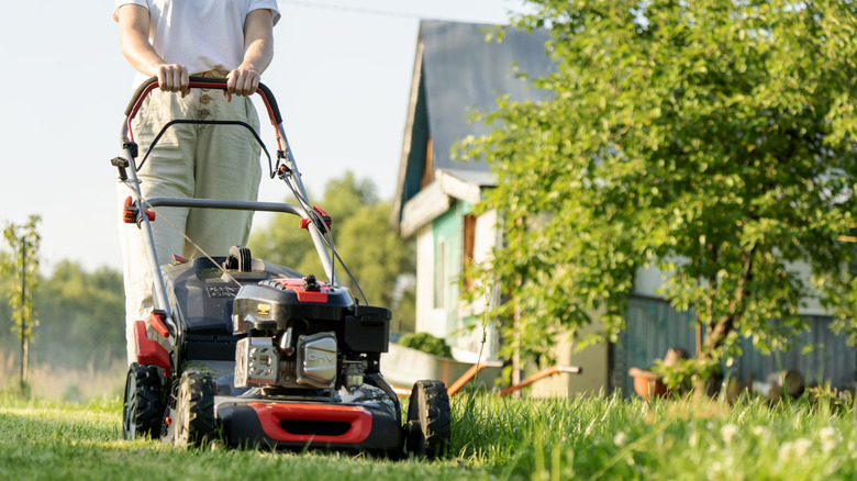Man pushing a lawn mower