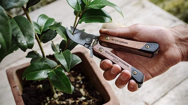 Someone using the Gentleman's wood-handled mult-tool to prune a plant