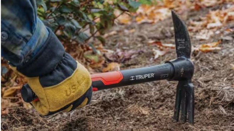 Comeone cultivating the soil with the Truper hand digger