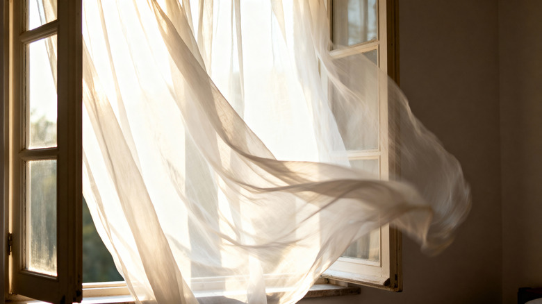 A sheer white curtain billowing in the wind