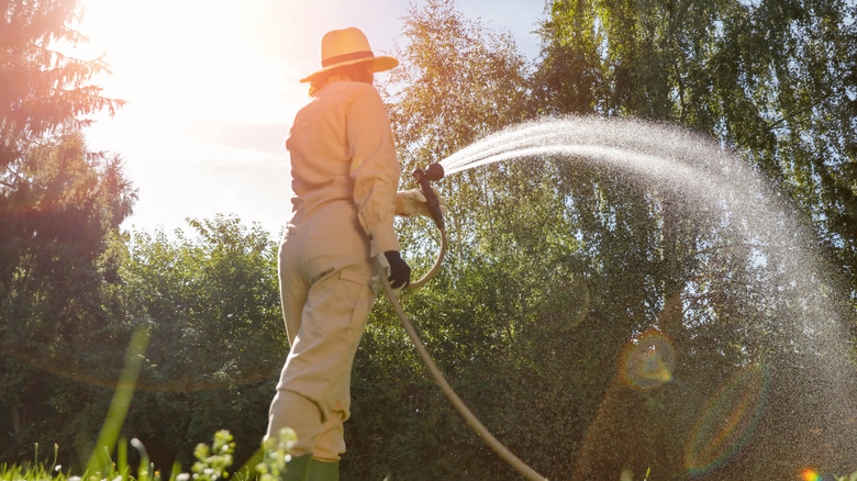 A person spraying water with a hose