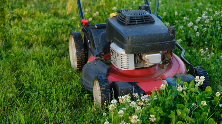 Mowing early-spring clover weeds