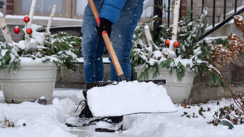 person shoveling snow from path leading to house