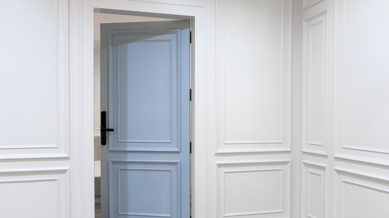 soft blue painted interior door on white molding walls