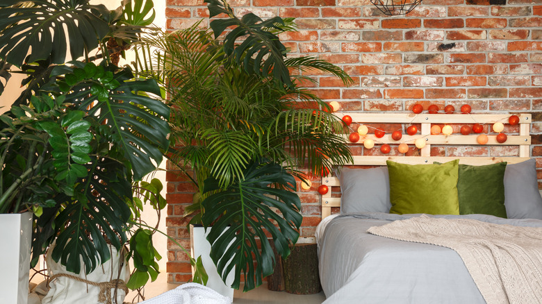 A bed next to large monstera and palm plants