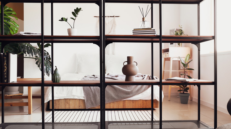 Light room with black dividing bookshelf