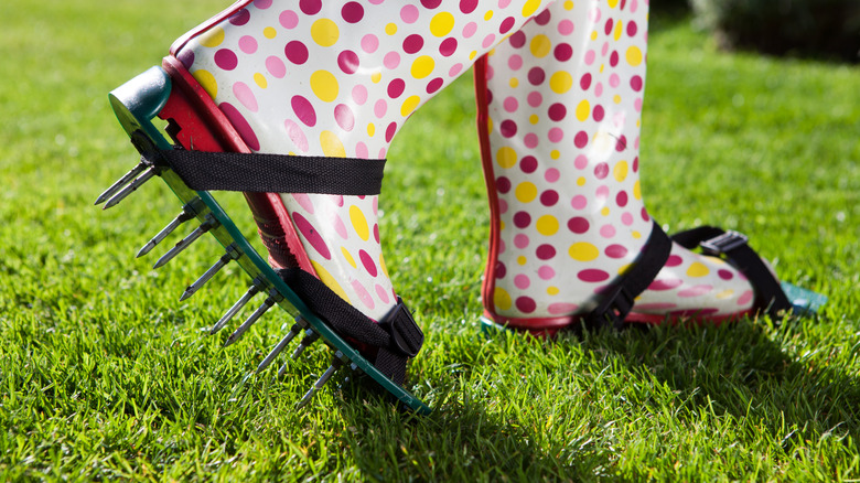 person aerating lawn with spike shoes