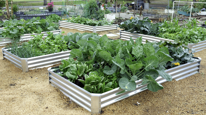 Metal garden bed configuration