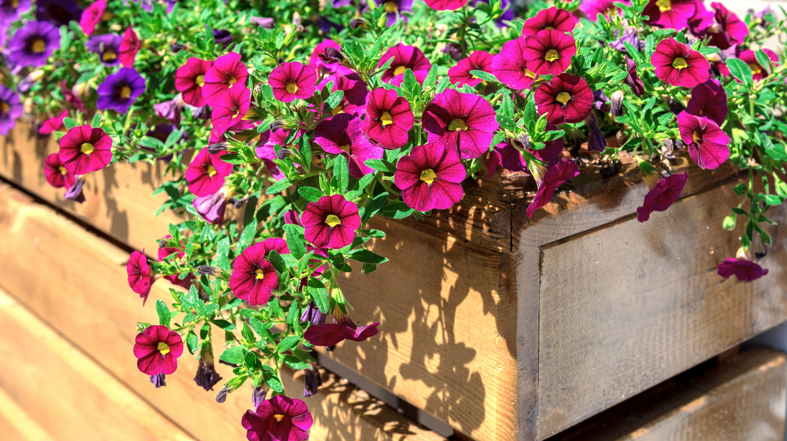 Not Your Average Planter Box: This Unique Amazon Find Doubles As Garden Decor