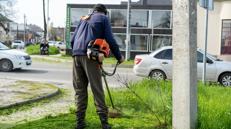 a gardener trims the lawn beside a road
