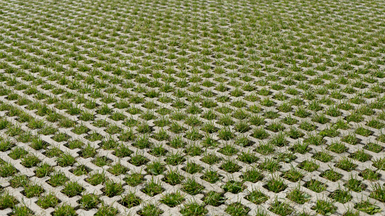 A large area filled with turfstone pavers