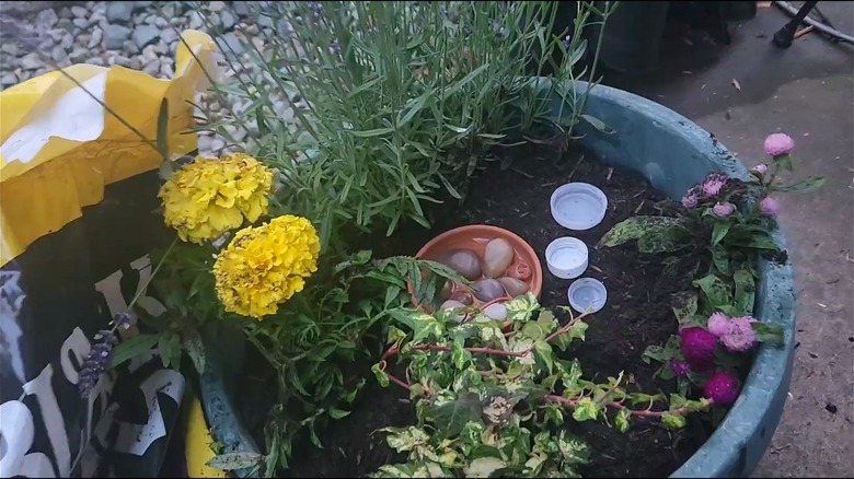 A pollinator cafe in a nursery pot with flowers and a water dish