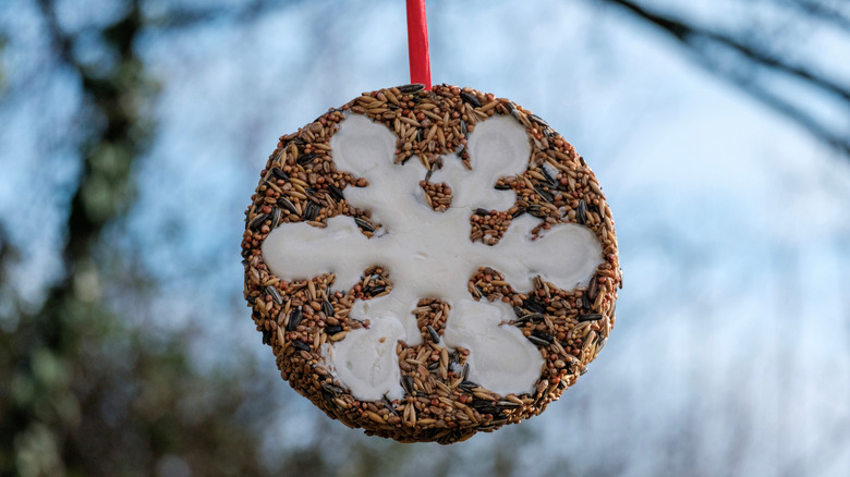 Close-up of a birdseed ornament with a snowflake design