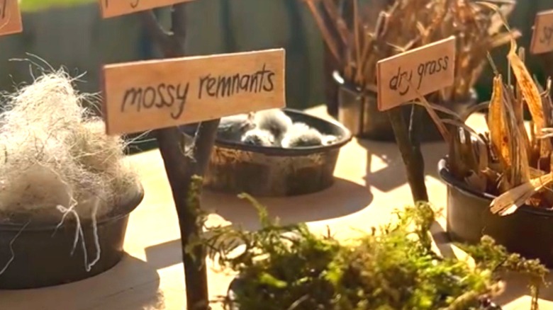 A DIY bird nesting material station made from a wooden plank and nursery pots