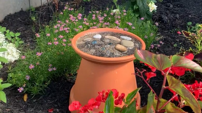 A DIY butterfly puddler made from a terracotta pot and saucer