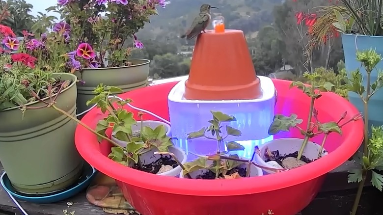 A hummingbird bath made from a pet water fountain and a terracotta pot