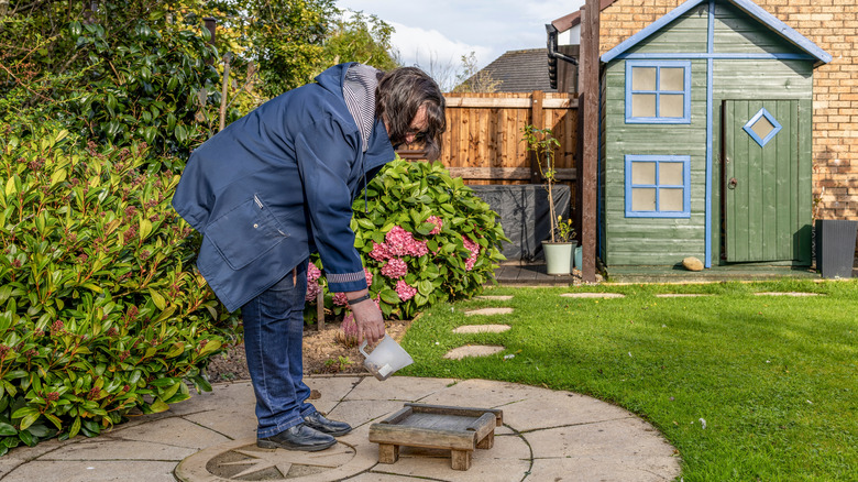 woman pouring food onto bird table in back yard