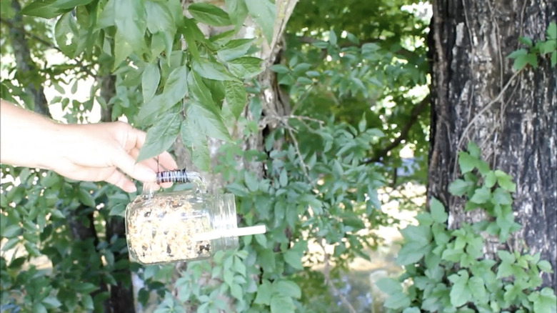 Mason jar bird feeder with perch