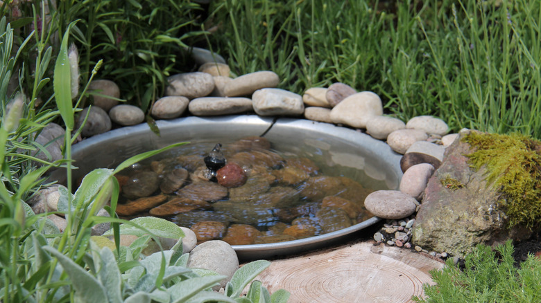 A small garden pond surrounded by large rocks and plants