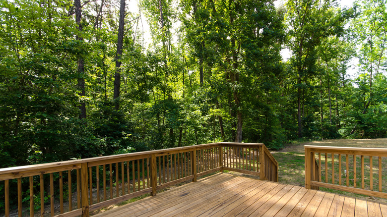 A wooden deck overlooking a dense copse of trees