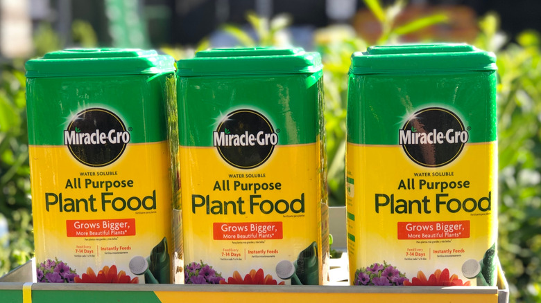 Boxes of Miracle Gro lined up outside