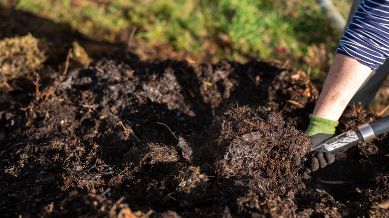 Hands holding a shovel turning over compost pile
