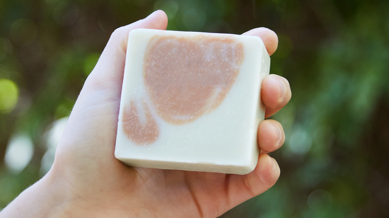 Hand holding a bar of soap with garden in background