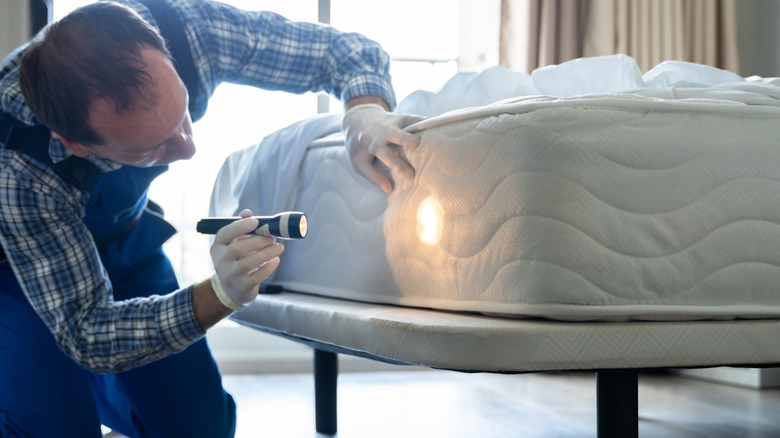 Man with flashlight looking at seams in a mattress
