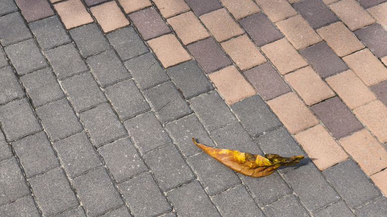 Leaf on multicolored composite paver system