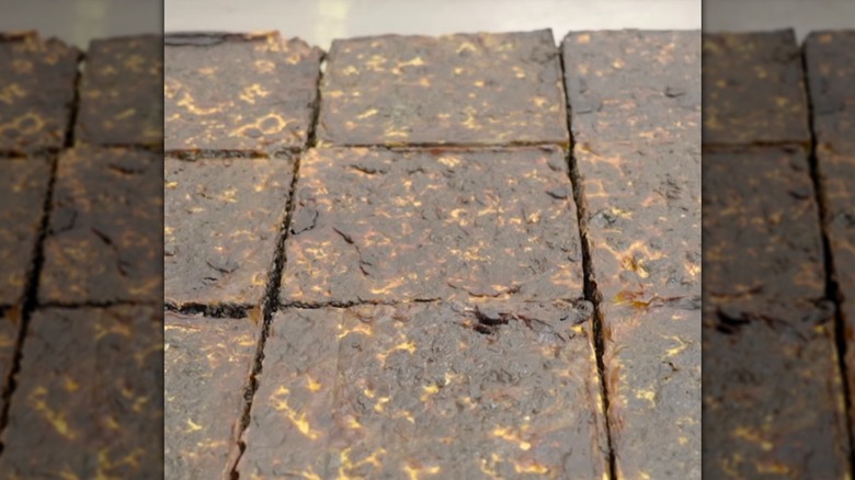 Close look at mycelium pavers