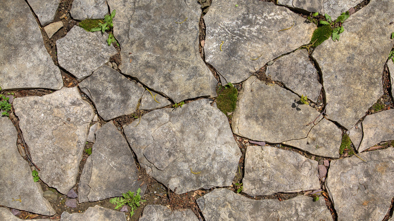 Natural stone path
